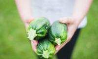 Zucchini For Amazing Health: 9 Advantages
