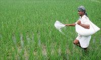 Infra status to benefit fertilizer sector