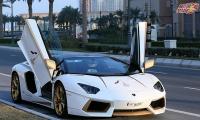 Driving the dream: A gold-plated Lamborghini Aventador!