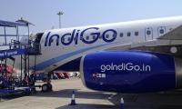 IndiGo Q3 profit falls 18% on forex loss