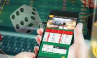 RMG Cos Stunned By Ban Bill