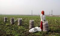 India's GDP grows 7.8% in Q1; highest in five quarters
