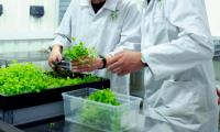 Agri-Research: The Key to Boost Agricultural Future