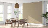 'India's paint market is highly local and competitive'