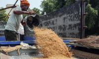 US Tariffs: India Draws Red Lines Around Farm Commodities