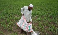 Govt's fertiliser subsidy bill may rise by Rs 70K cr in FY27