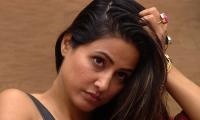 Bigg Boss 11: Is Hina Khan jealous of Shilpa Shinde?