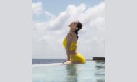 Kajal's Paradise, Perfected