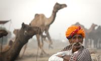 'The most lovable attribute of India is our resilience'