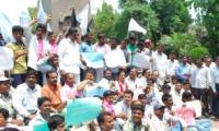 Cong's Telangana stand depends on local polls verdict