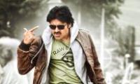 Too many film stars fighting for votes in 'divided' Andhra Pradesh