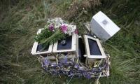 181 bodies recovered from MH17 crash site in Ukraine