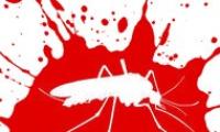 Malaria deaths down, dengue up in India