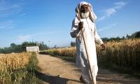 'Communal riots never happen in a political vacuum'