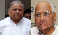 Yet another poll alliance in Bihar; now SP and NCP join hands