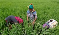 Budget: Bonanza for farmers & agriculture, Rs 10 lakh crore allocated