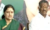 'Paneerselvam should chargesheet Sasikala'