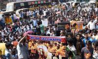 Jallikattu: Ordinance in the works, shutdown in Tamil Nadu