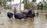 Floods in Kerala due to slaughtering of cows in open: BJP leader