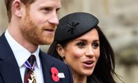 Harry-Meghan's royal wedding in numbers