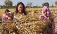 PHOTOS: Hema Malini begins campaign from a farm