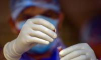 LIVE! NIV to test 8 Maha samples for suspected avian flu 