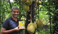 From Microsoft to Jackfruit 365!