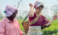 SEE: Priyanka joins in to pluck tea leaves in Assam