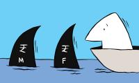 'Is Investing In Mutual Funds Risky?