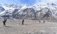 PIX: Amid standoff, soldiers play cricket near LAC