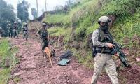 BSF foils infiltration in J-K's Kathua, guns down Pak intruder