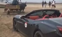 Ferrari stuck on Alibaug beach rescued by bullock cart