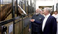 Tell Putin...: US asks India to 'utilise' Russian ties