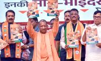 4 Months After Poor LS Score, How BJP Swept Vidarbha