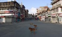 5 booked for breaking dog's teeth using pliers in MP