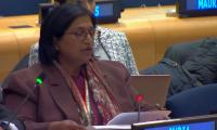 Minister's confession exposes Pak as...: India at UN