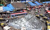 No order from court, BMC acted on its own: HC on 'kabutarkhanas'