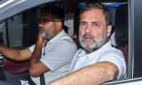 Lawyer withdraws 'threat to Rahul Gandhi's life' plea