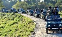 Tourists left stranded in the middle of jungle in Ranthambore