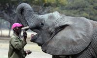 Caring for Kadiki