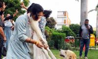 Victory For Pooches