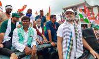 BJP leaders jittery as they're caught stealing votes: Rahul