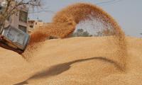 LIVE! Maha hair loss cases not linked to wheat: Minister  