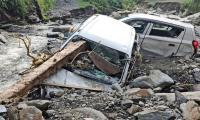 How a pet dog saved 60 people from Mandi cloudburst