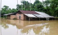 Rain havoc in Marathwada: 8 dead, houses, crops damaged