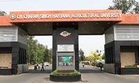 Students, guards clash at Haryana varsity; many hurt