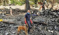 Bias toward pilot error: Pilots' association on AI crash report