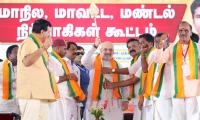 Is BJP The 'Party-Splitter' In TN Too?