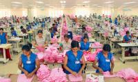 'Politicians Are Industrialists' Biggest Problem'