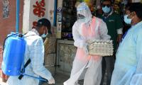 Bird flu outbreak in Bokaro: 250 birds dead